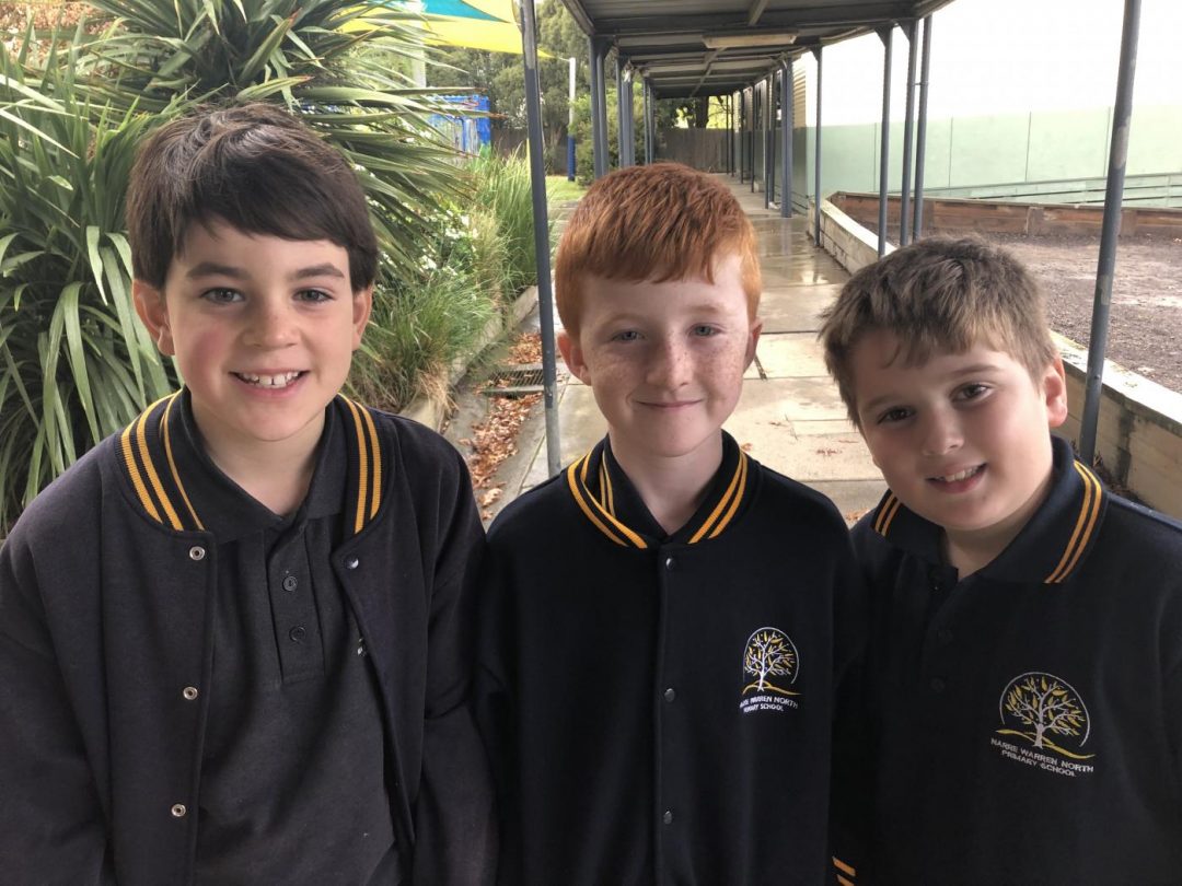 Wellbeing | Narre Warren North Primary School