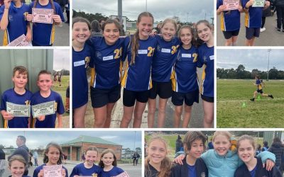 Divisional Cross Country