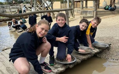 Grade 5/6 Excursion to Sovereign Hill